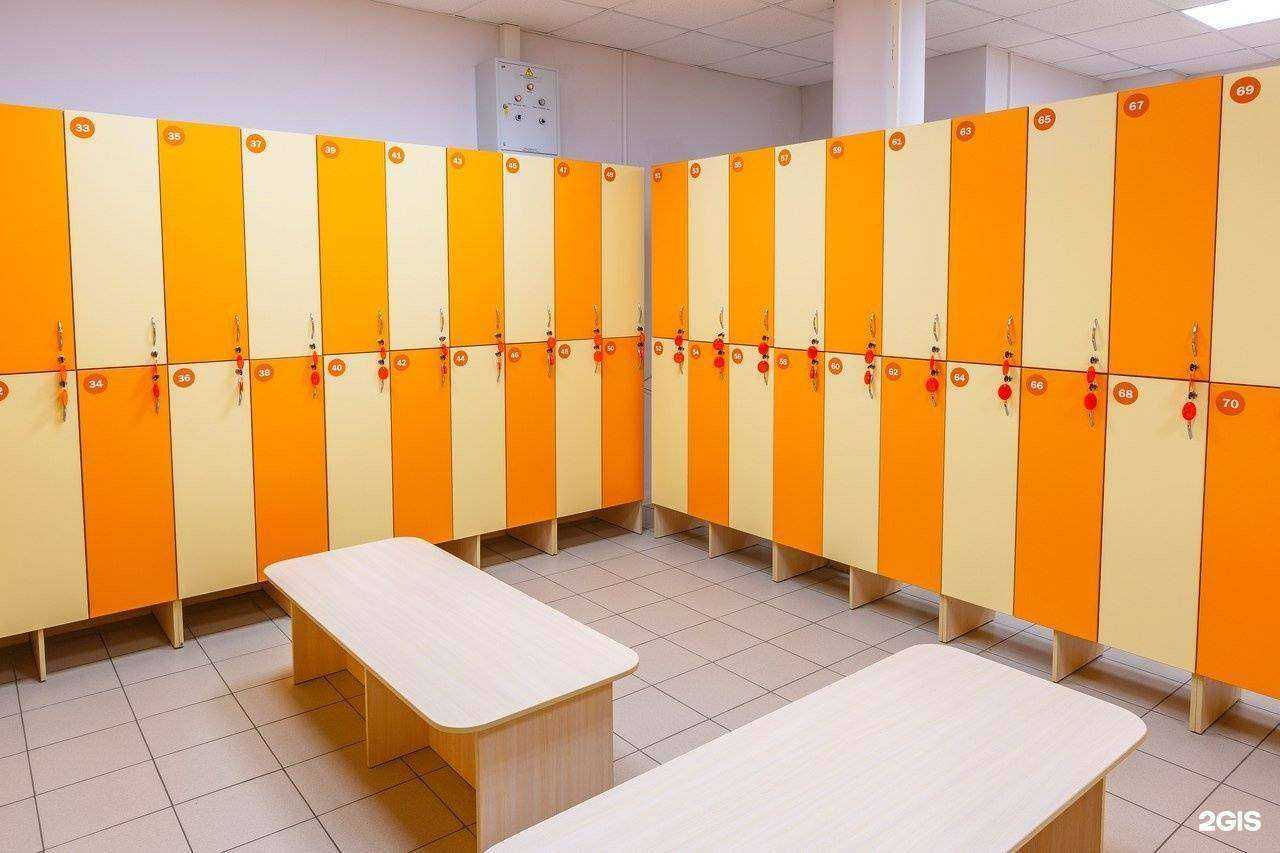 Отзывы на компанию Палестра в Архангельске c фото