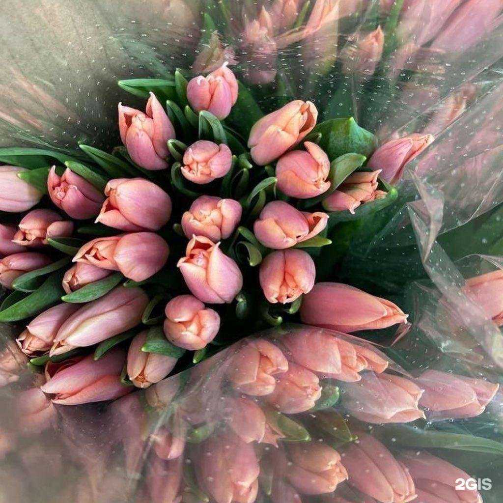 Отзывы на компанию Галерея Праздника в г. Павловский Посад c фото