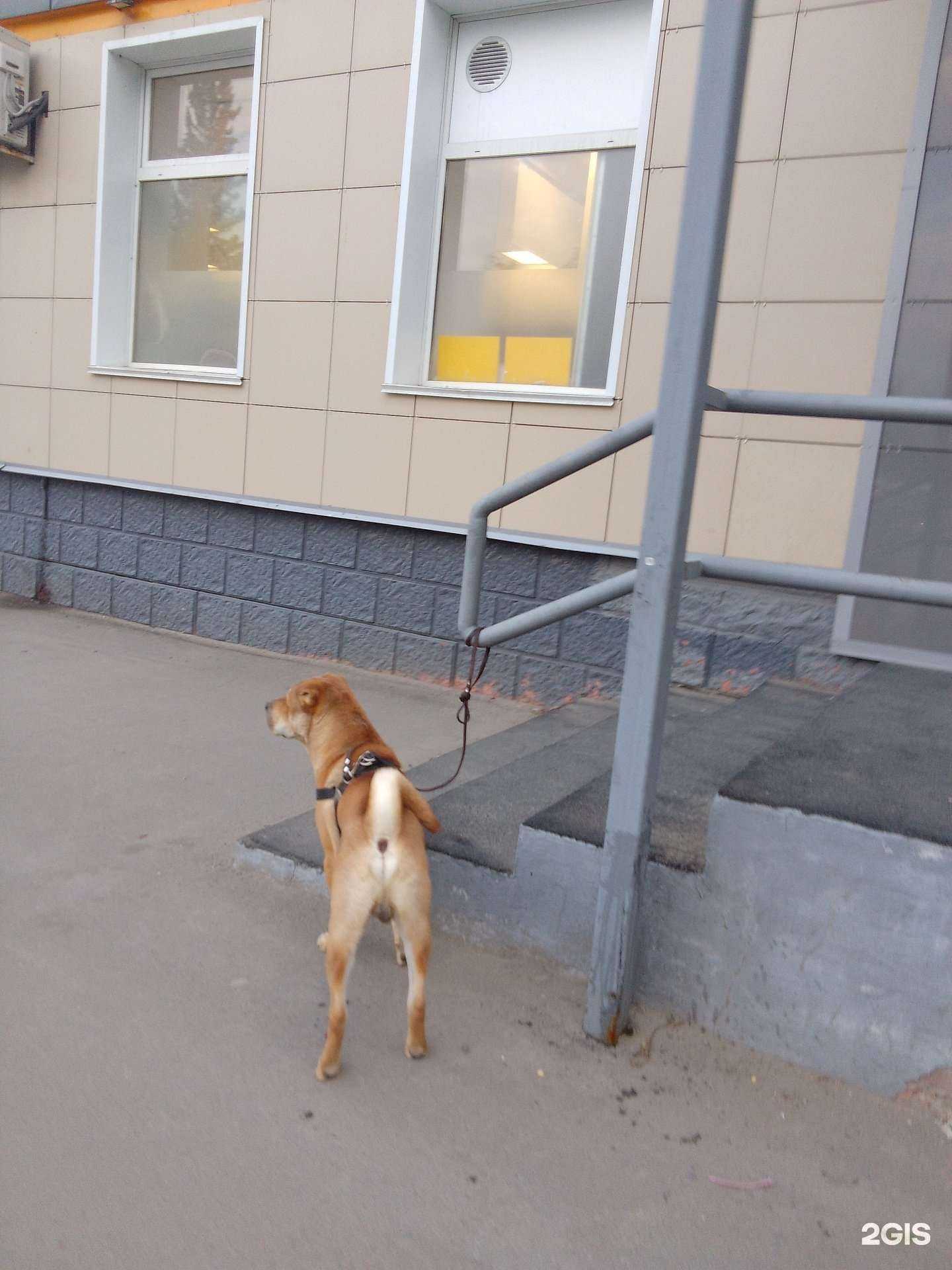 Отзывы на компанию Эскор в Барнауле c фото - фотография 2 из 2