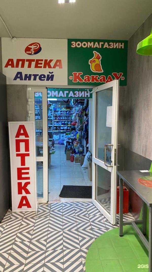 Отзывы на компанию Какаду в Череповце c фото