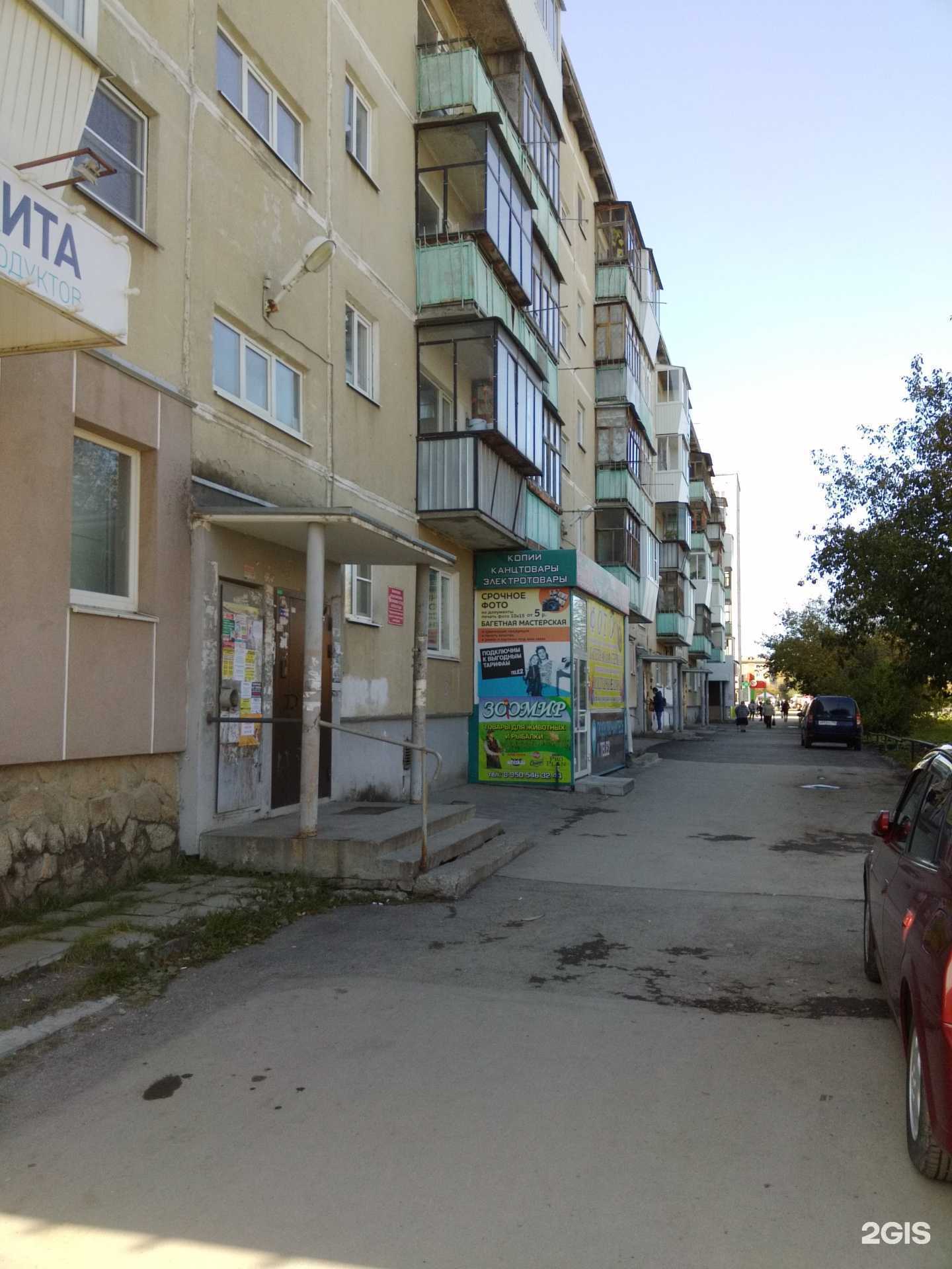 Отзывы на компанию Зоомир в Каменске-Уральском c фото - фотография 2 из 2