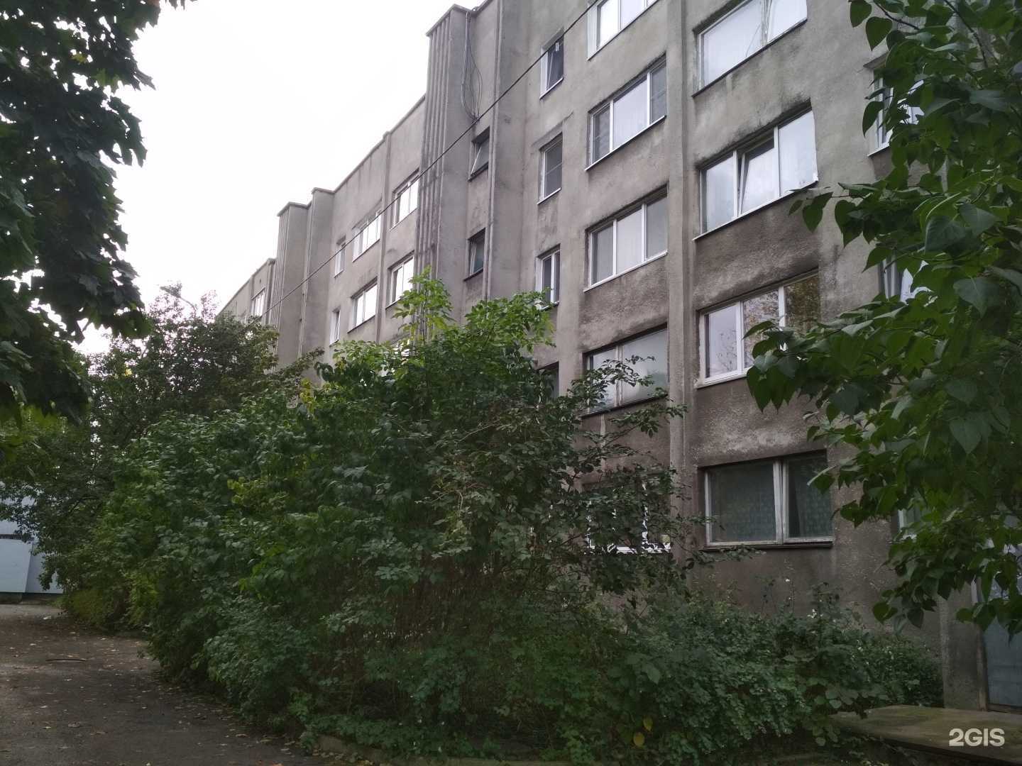 Отзывы на компанию Золотая комета в Калининграде c фото - фотография 2 из 2