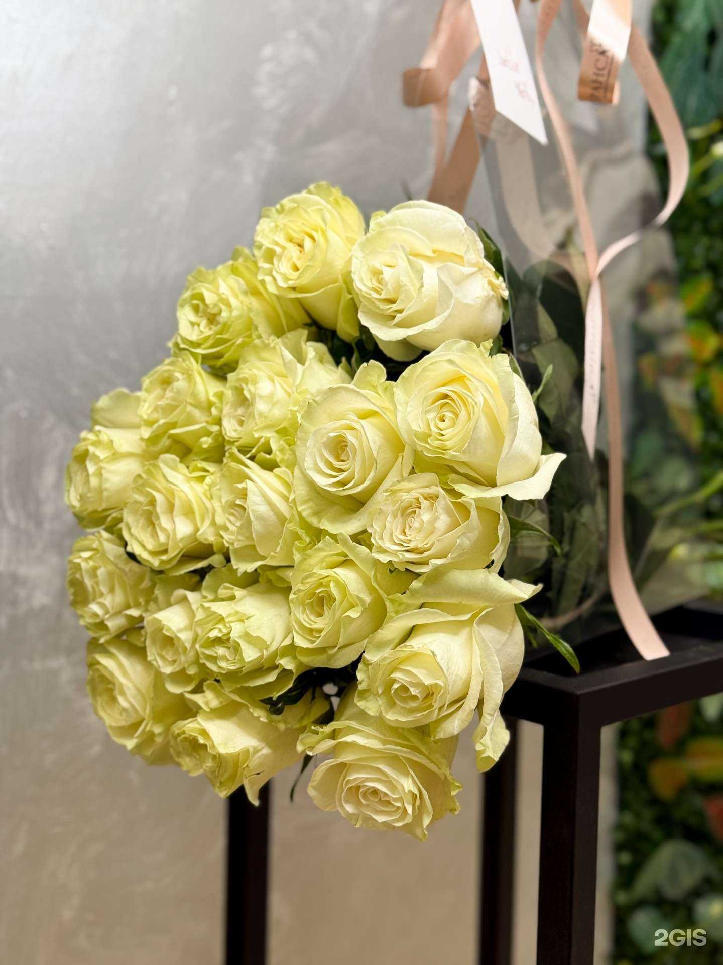 Отзывы на компанию Эсперанса в г. Мурманск c фото