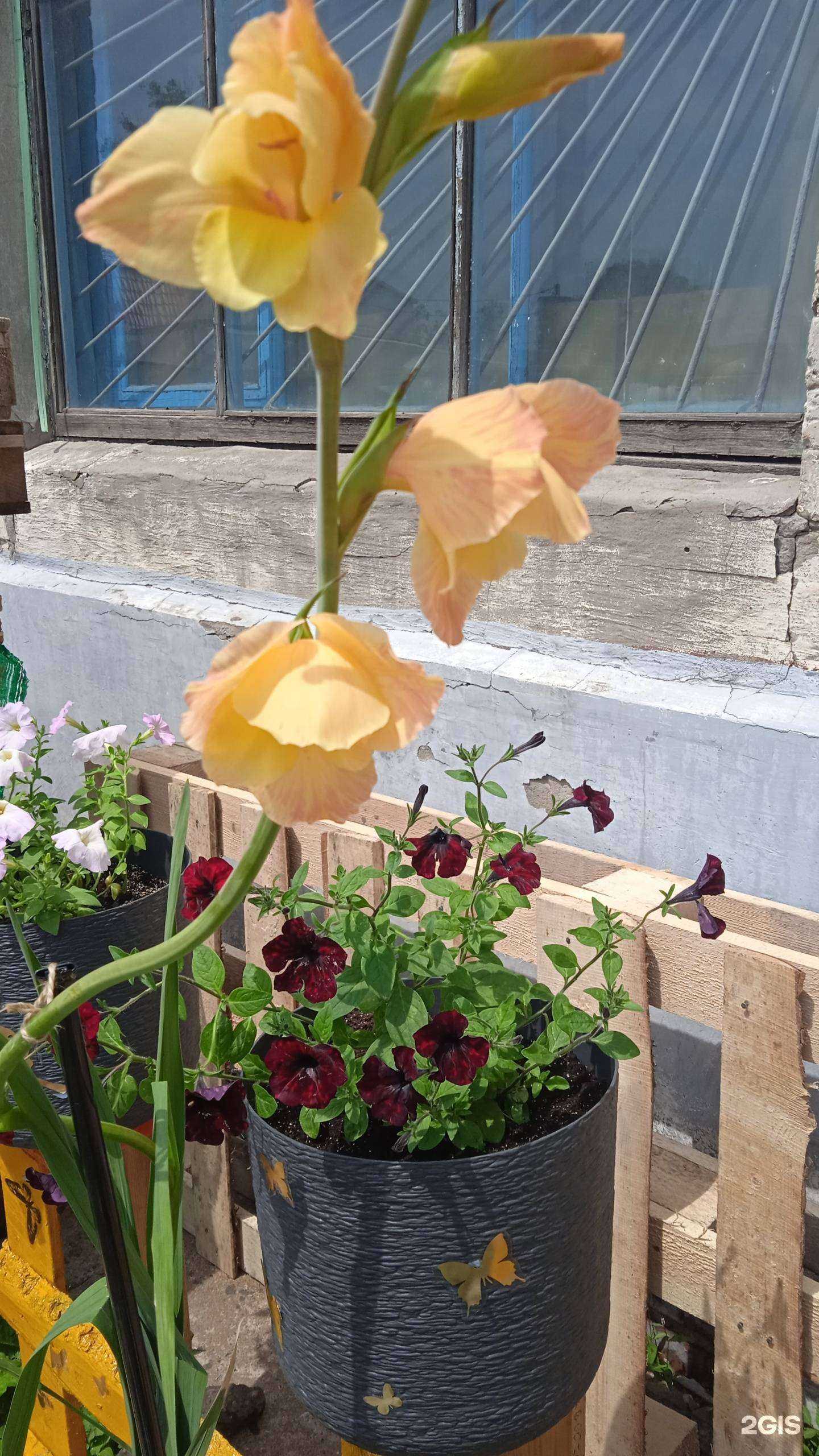 Отзывы на компанию Шилка в Хабаровске c фото - фотография 2 из 2