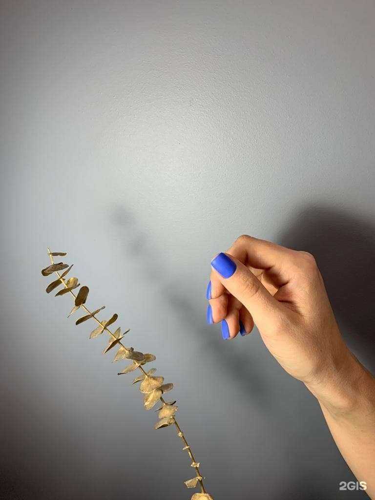 Отзывы на компанию N7 studio в Красноярске c фото