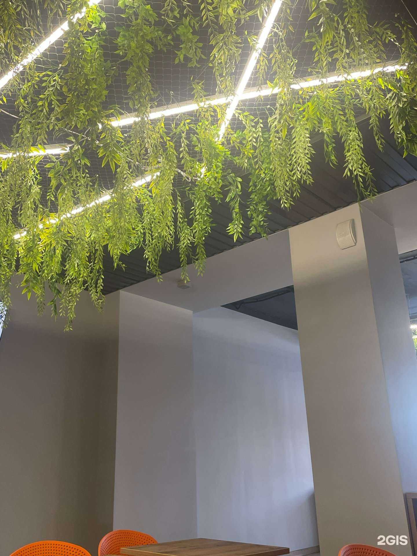 Отзывы на компанию Doner dog в Красноярске c фото