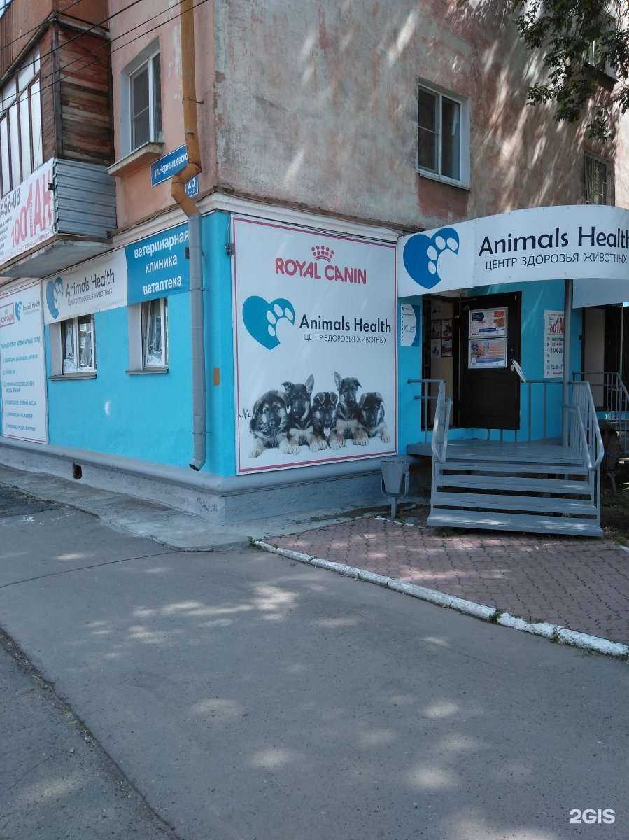 Отзывы на компанию Animals Health в Перми c фото