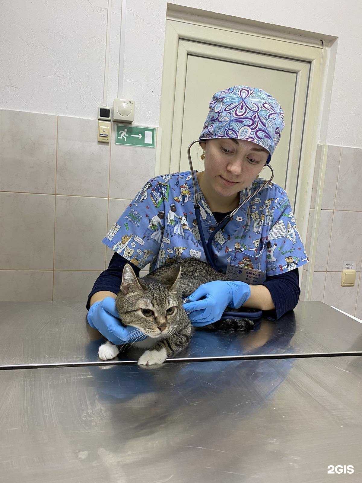 Отзывы на компанию Ветеринарная клиника доктора Анникова в Саратове c фото