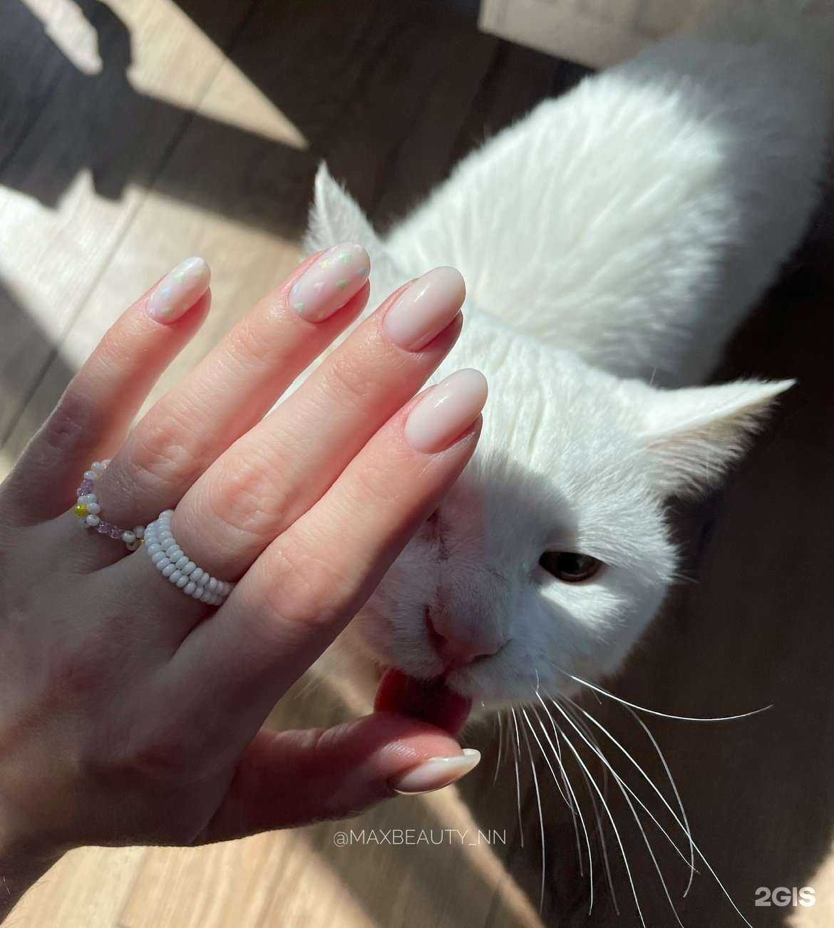 Отзывы на компанию Maxbeauty_nn в г. Нижний Новгород c фото