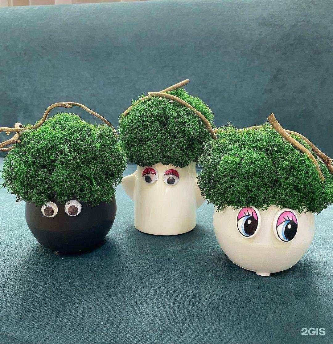 Отзывы на компанию Ботаника в г. Новокузнецк c фото