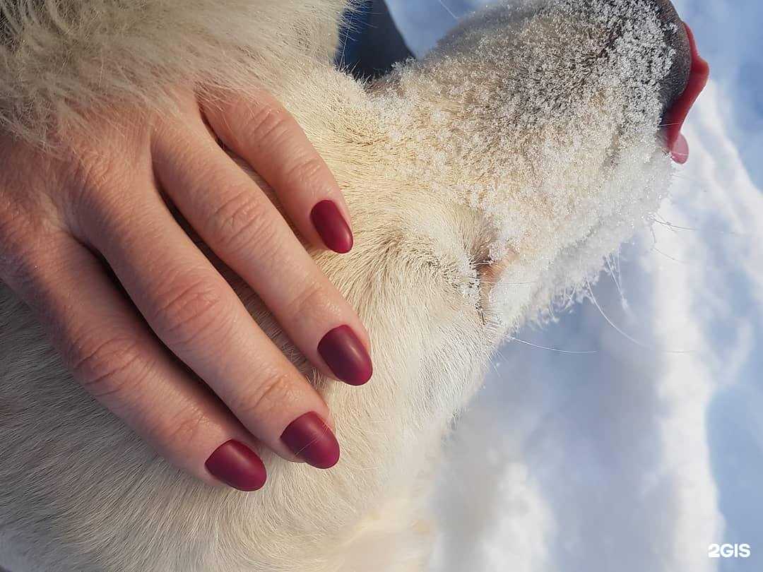 Отзывы на компанию Cоnfetti в г. Смоленск c фото