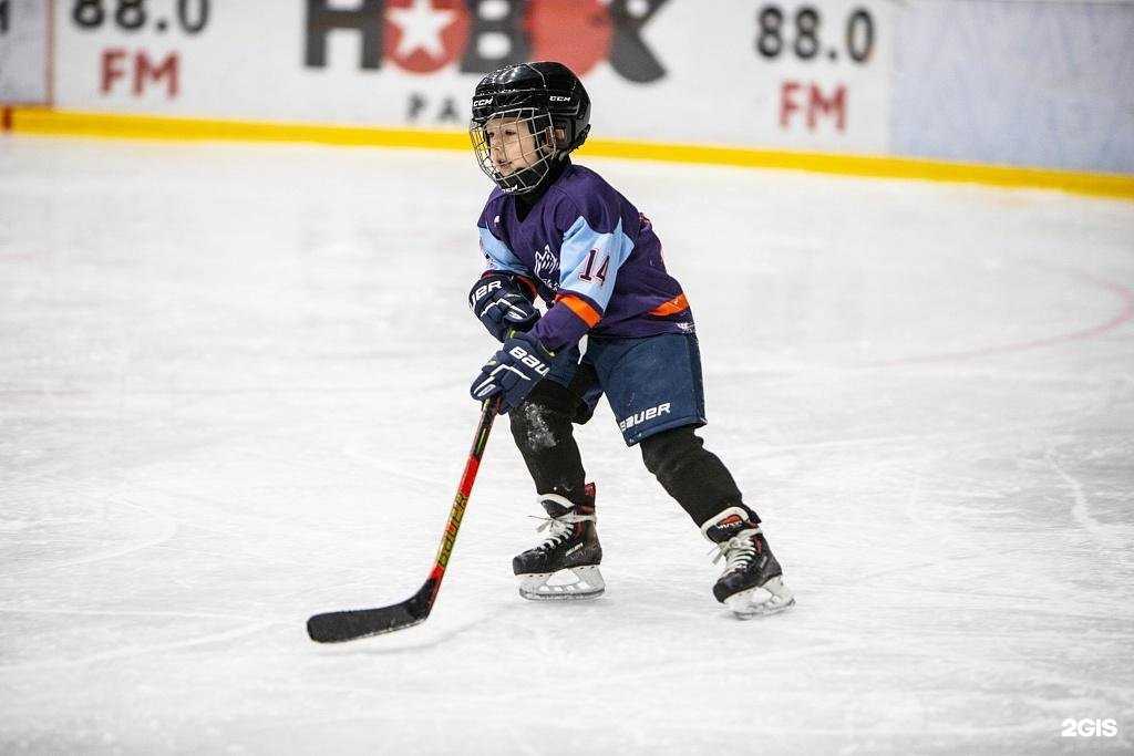 Отзывы на компанию Короли льда в Ессентуках c фото