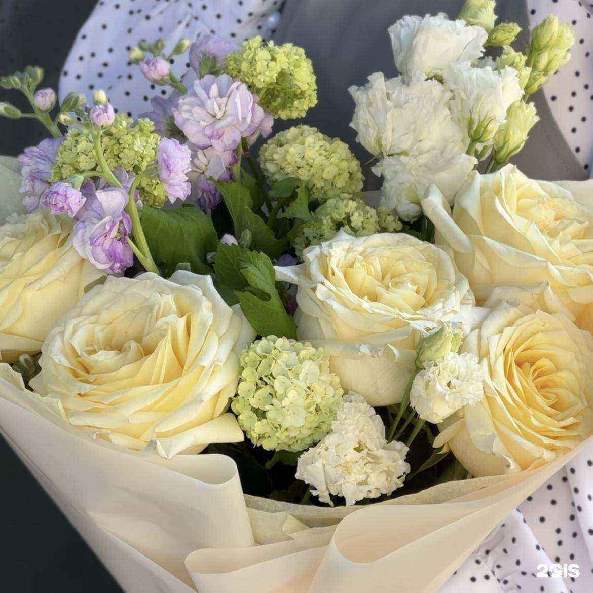 Отзывы на компанию Floare в г. Красноярск c фото