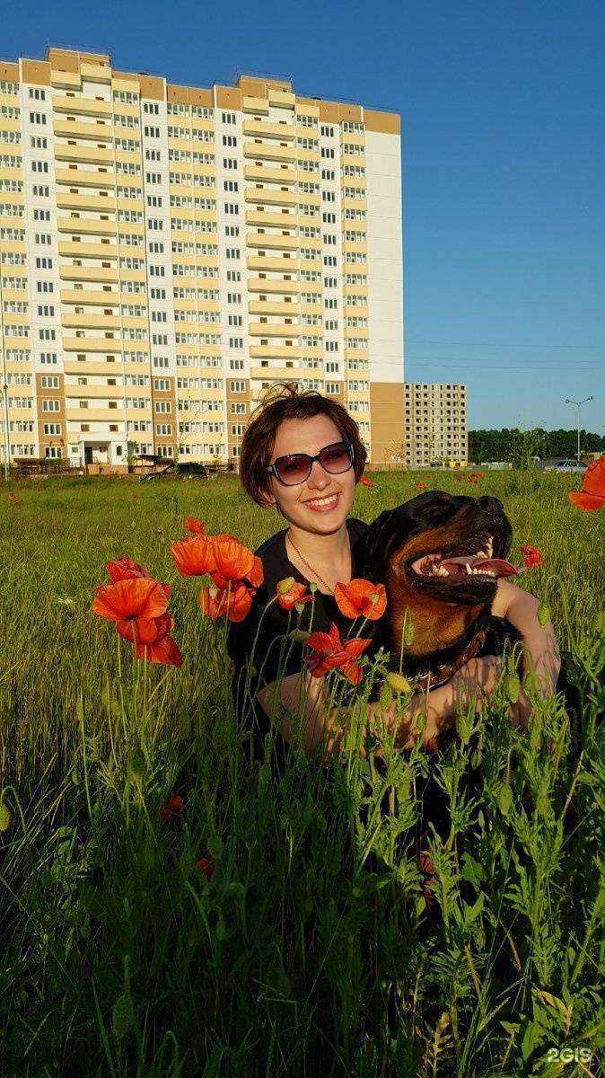 Отзывы на компанию Маскировочный Центр в Краснодаре c фото - фотография 2 из 2