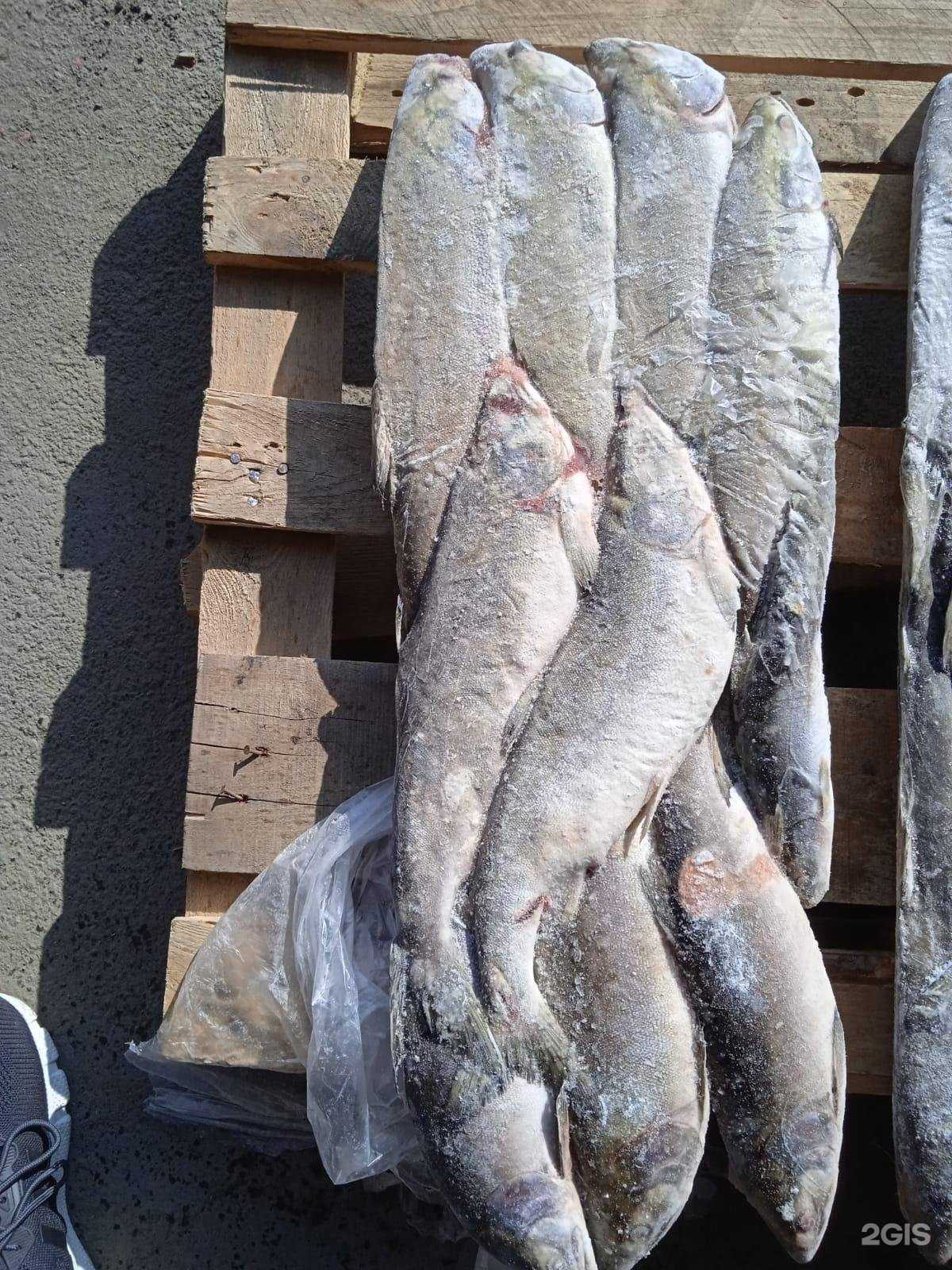 Отзывы на компанию Поля-Моря в г. Новосибирск c фото