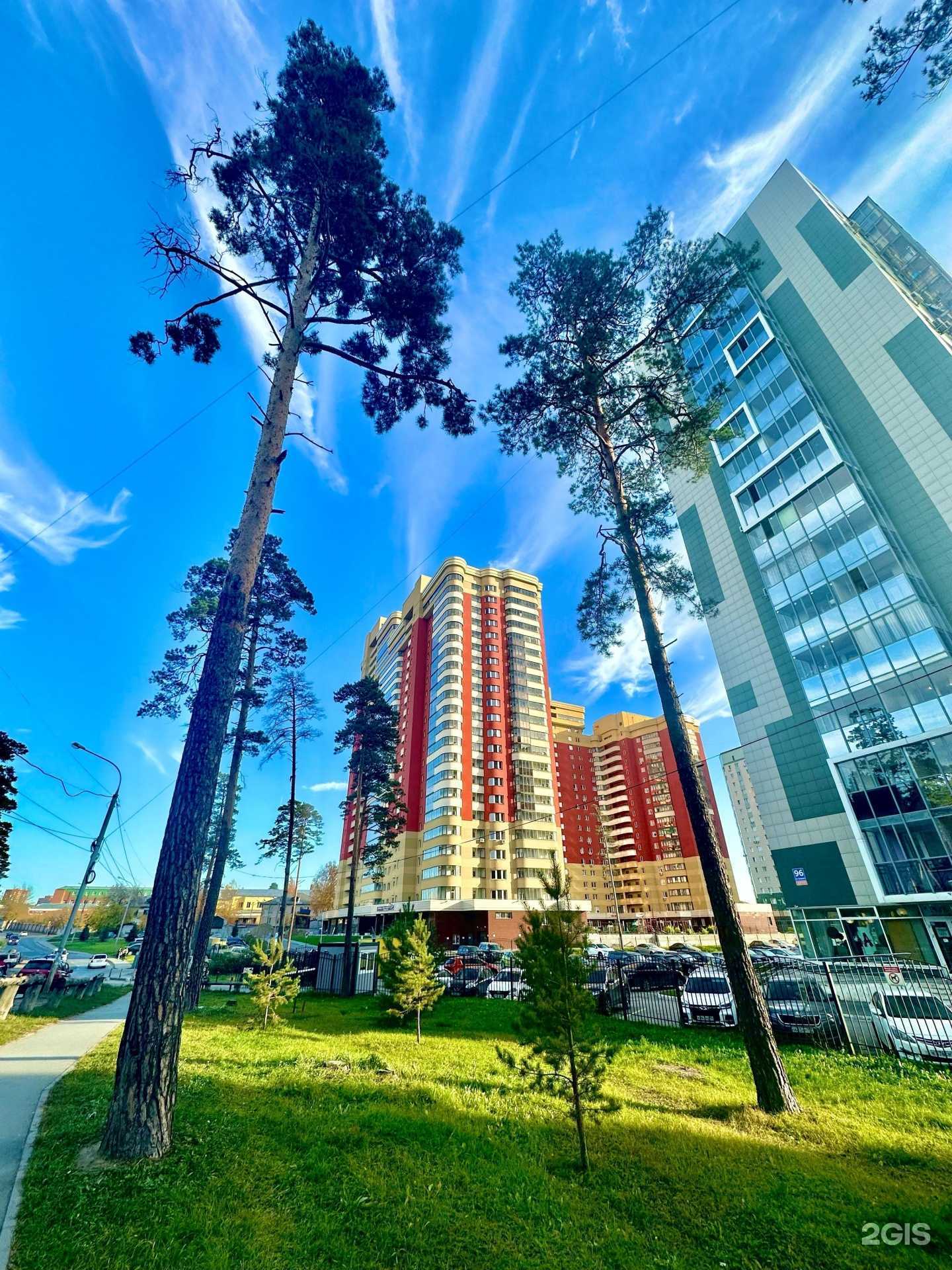 Отзывы на компанию Движение в Новосибирске c фото - фотография 2 из 2