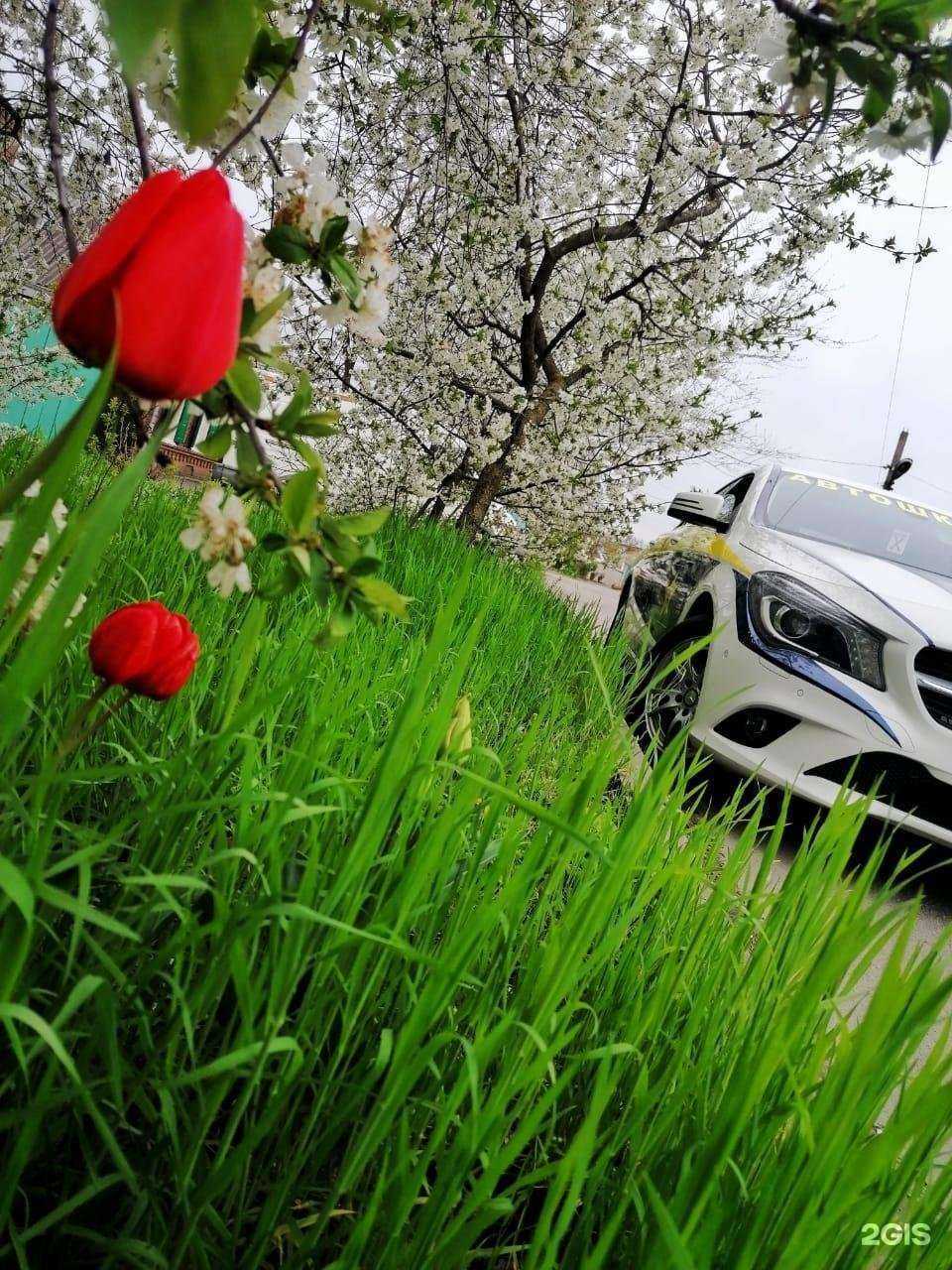 Отзывы на компанию Союз Автошкол в г. Ростов-на-Дону c фото