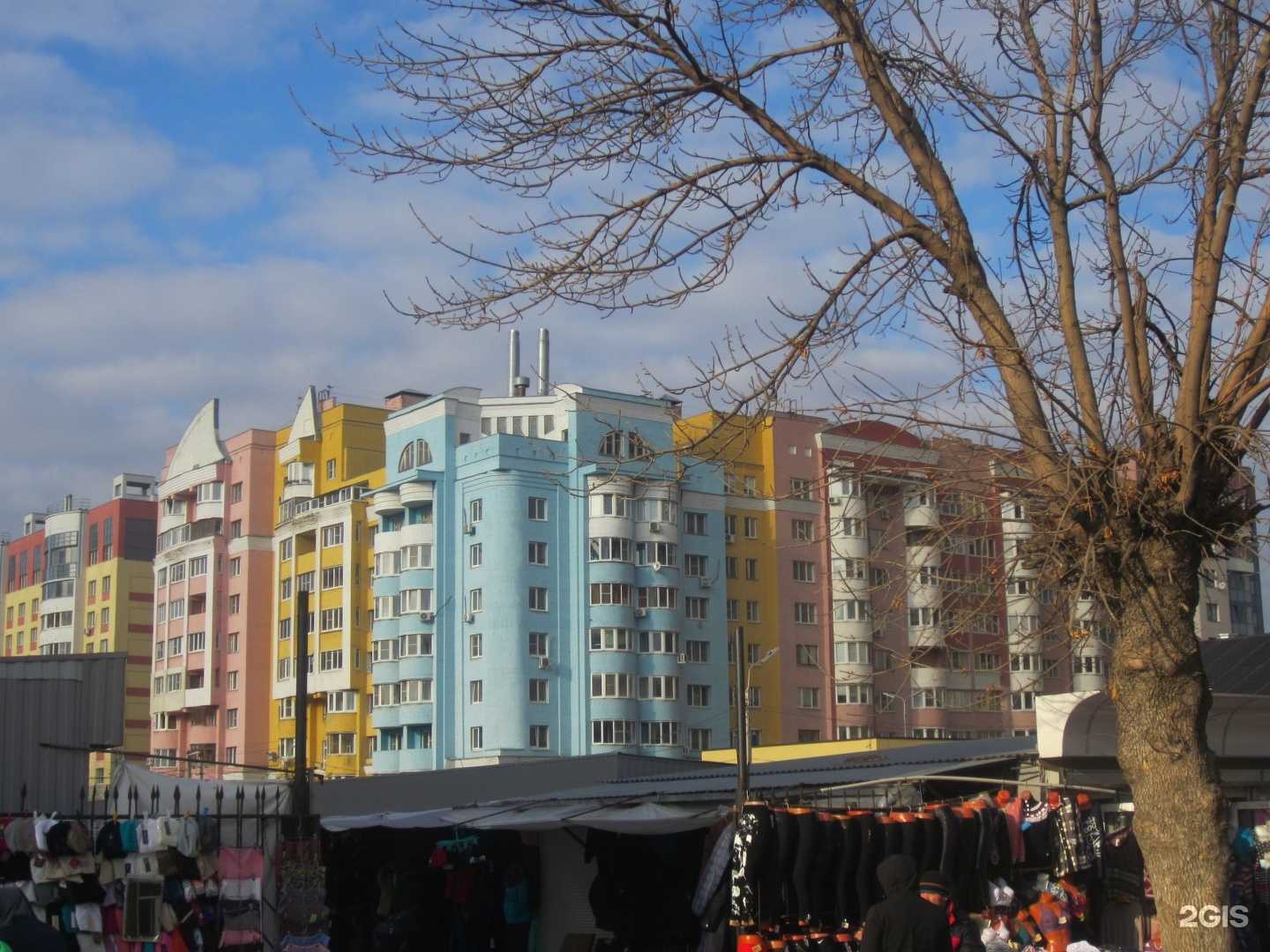 Отзывы на компанию Дрим в г. Рязань c фото