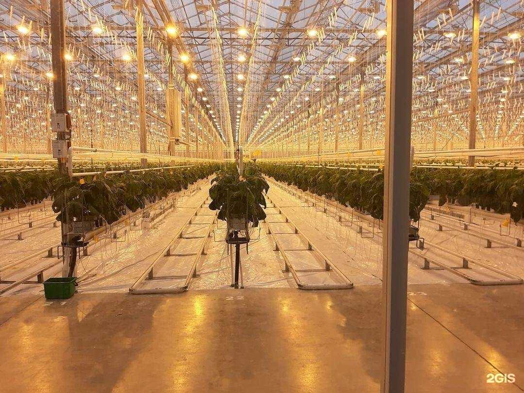 Отзывы на компанию Энергия торфа в г. Томск c фото