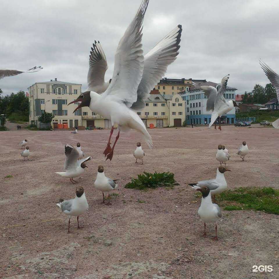 Отзывы на компанию Дом в Сортавале c фото