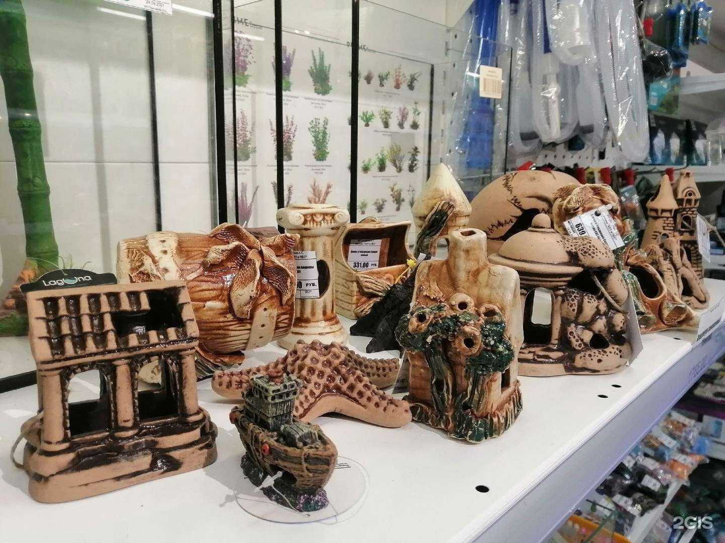 Отзывы на компанию Кот и Пёс в г. Чебоксары c фото