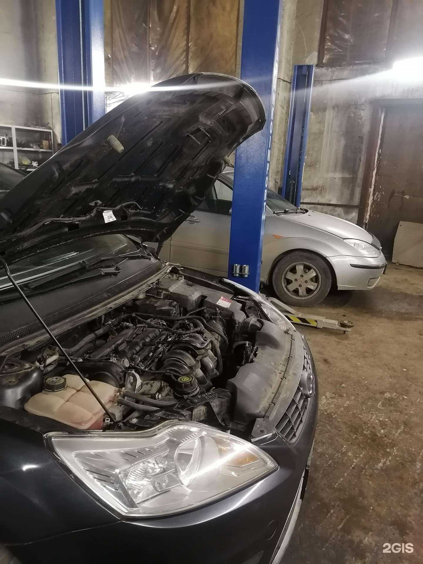 Отзывы на компанию Crazy Ant в г. Петрозаводск c фото