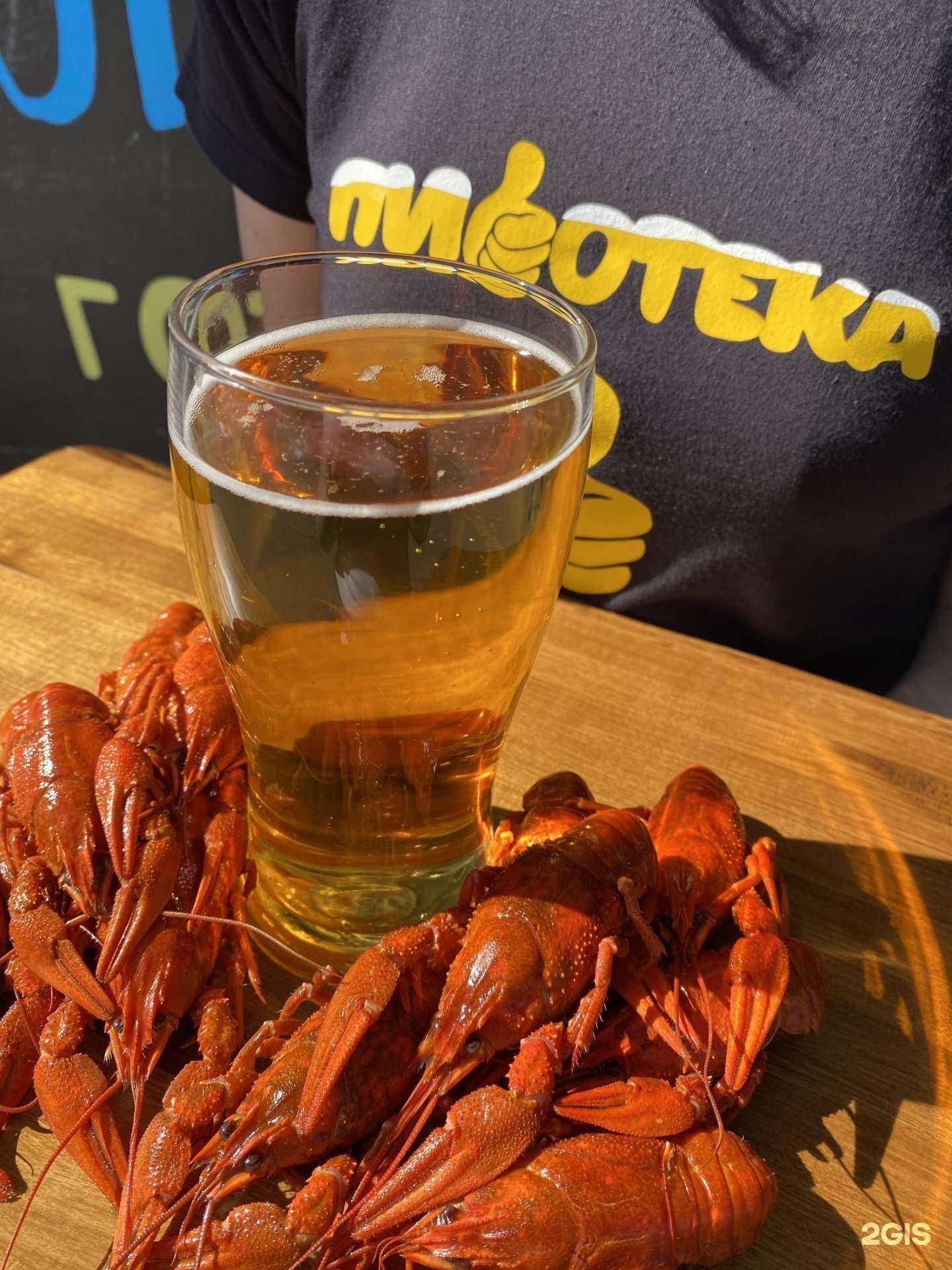 Отзывы на компанию Пивотека в Ростове-на-Дону c фото