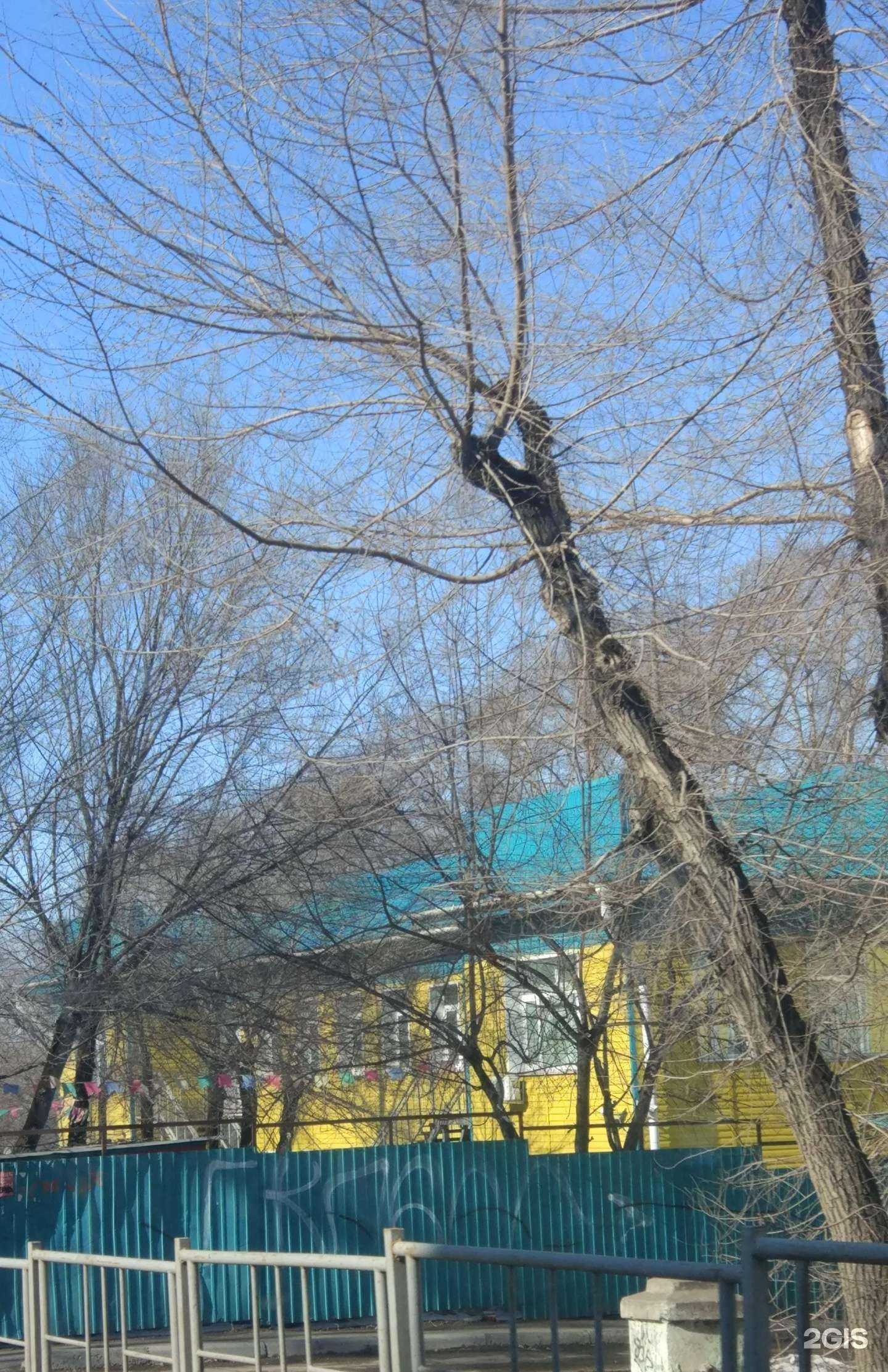 Отзывы на компанию Детский сад №15 в г. Хабаровск c фото