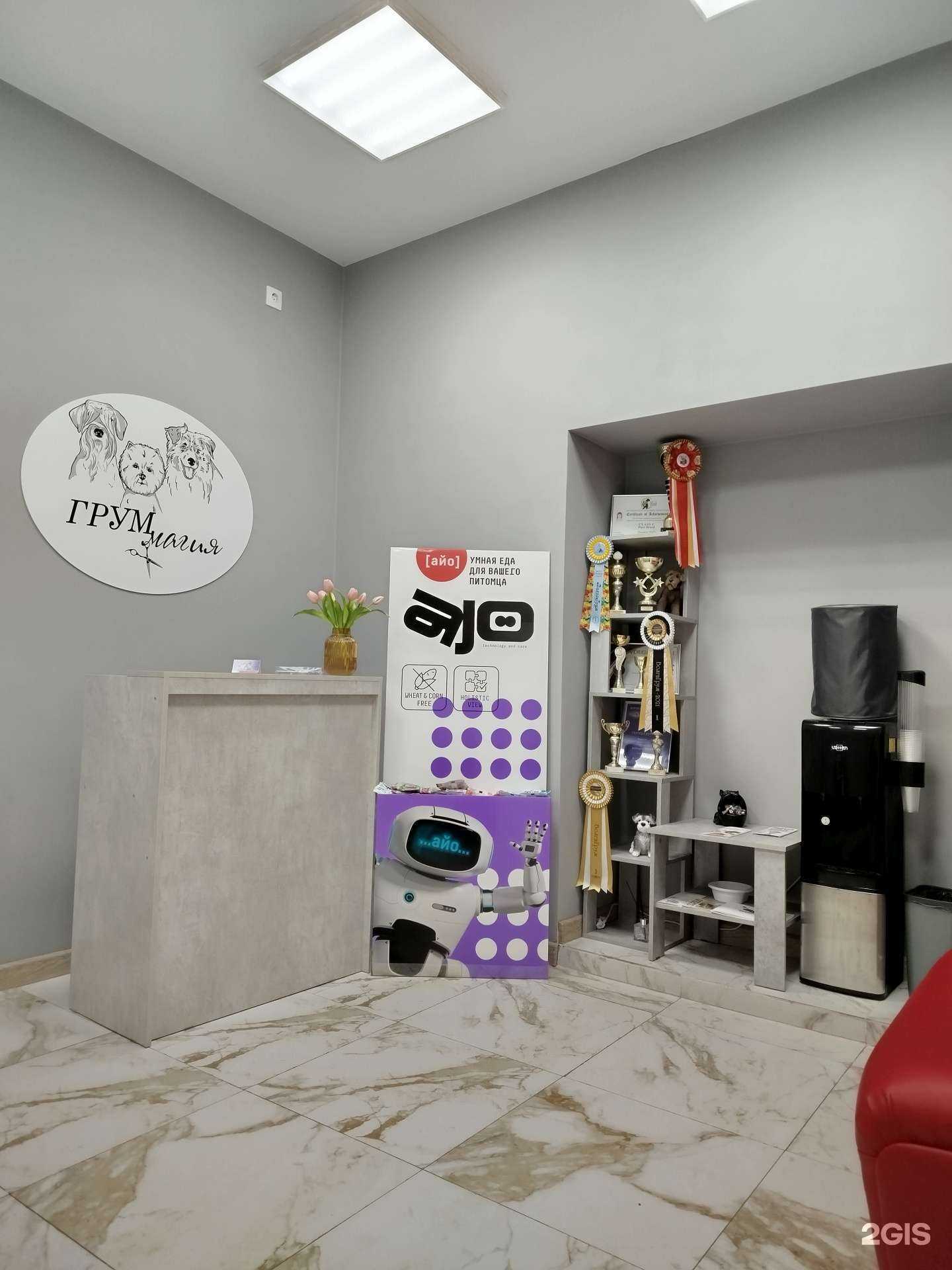 Отзывы на компанию Груминг-салон в г. Казань c фото