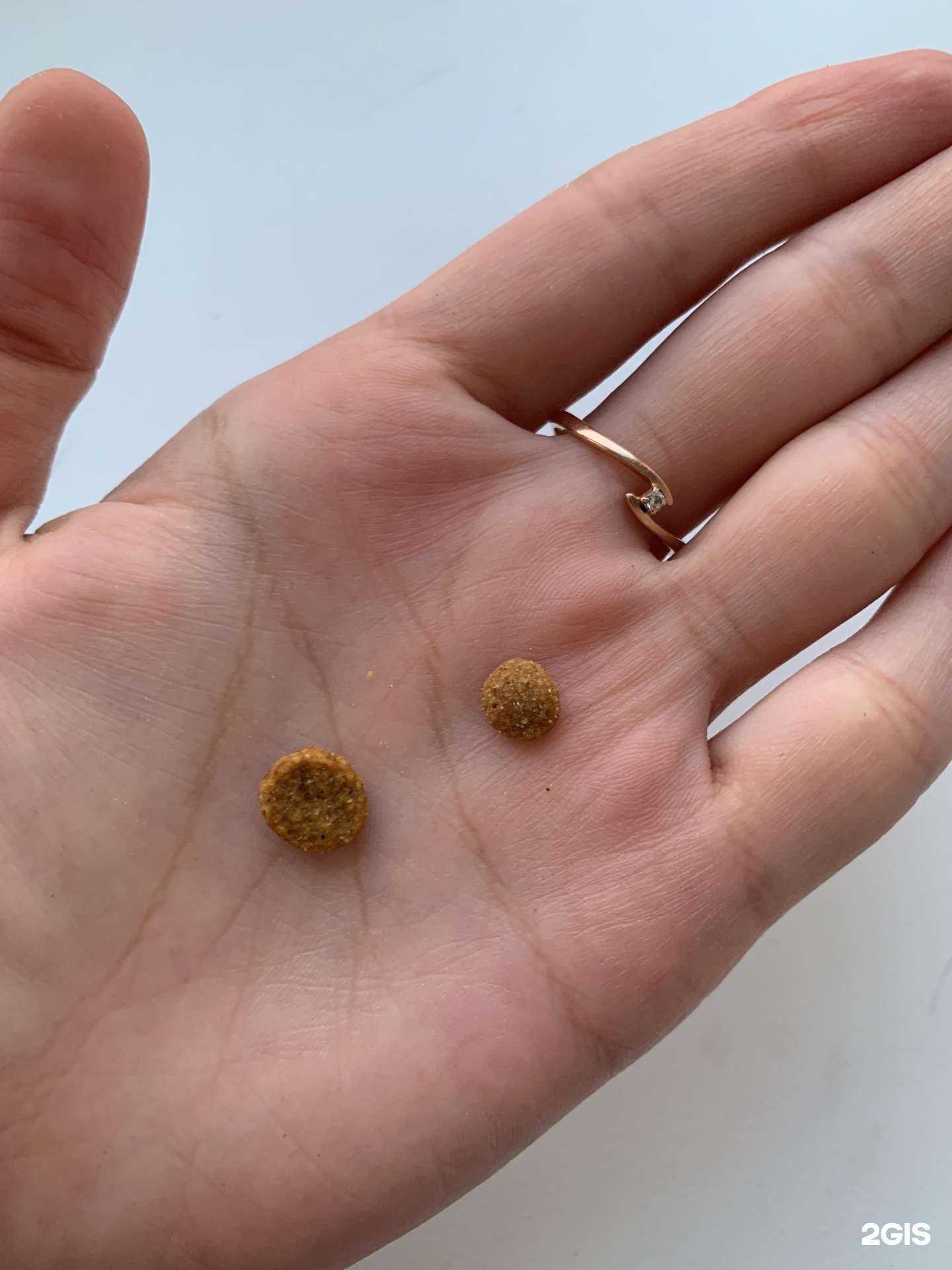 Отзывы на компанию Ветфарм в Челябинске c фото