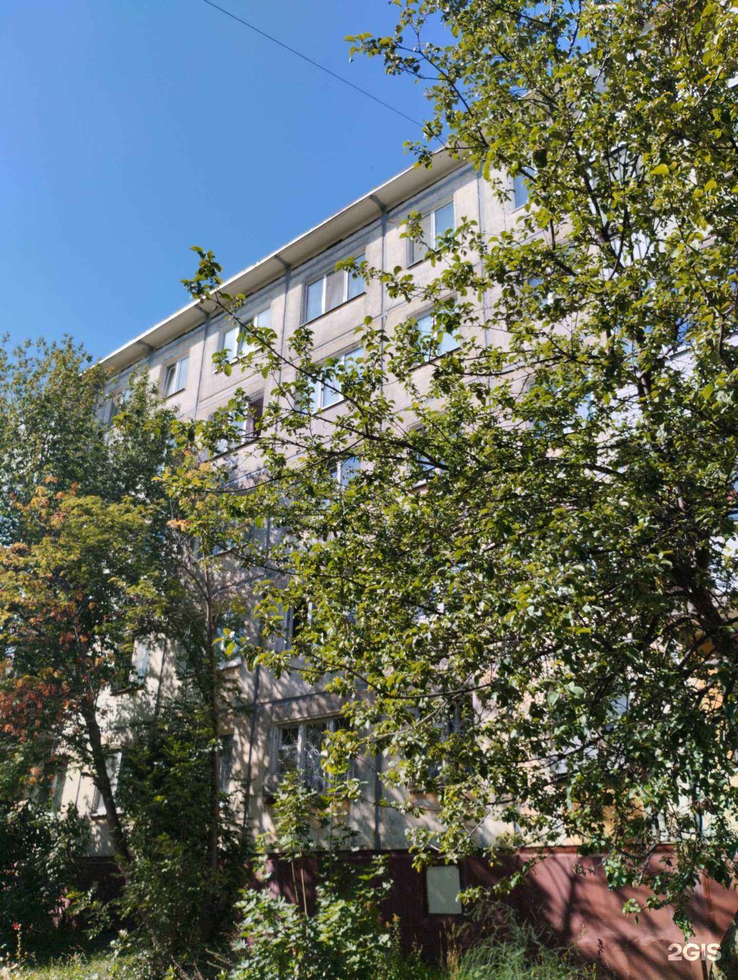 Отзывы на компанию Дельфин в Ижевске c фото - фотография 2 из 2