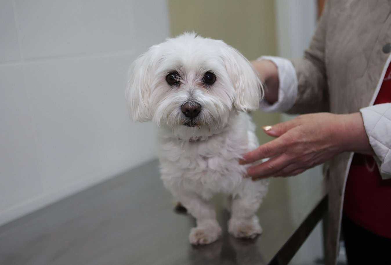 Отзывы на компанию Друг в г. Геленджик c фото