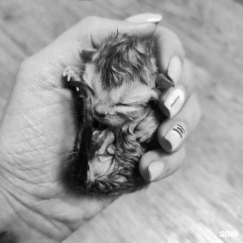 Отзывы на компанию Спартак в г. Владивосток c фото