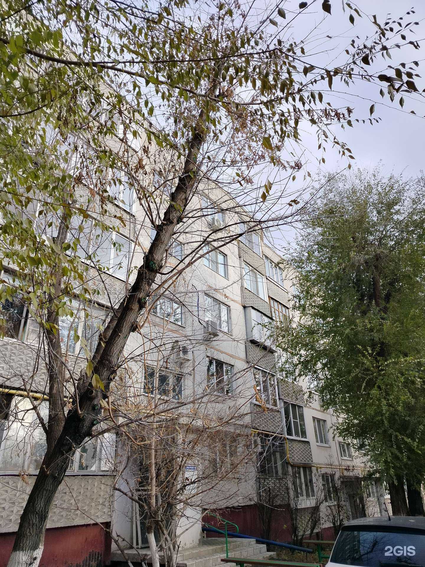 Отзывы на компанию Доктор в Оренбурге c фото - фотография 2 из 2