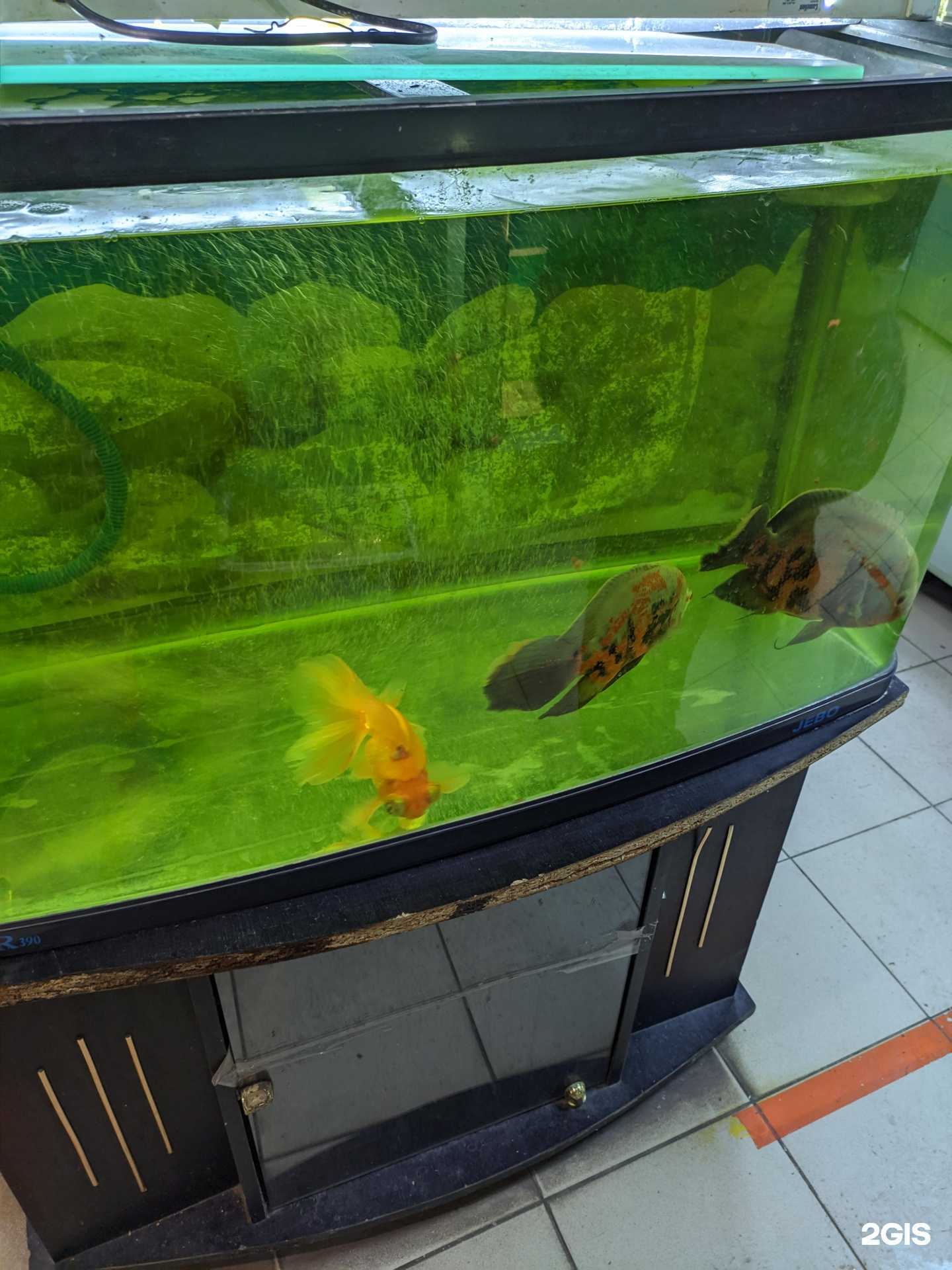 Отзывы на компанию Зоо&Рыболов в г. Набережные Челны c фото