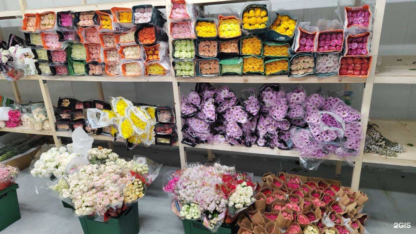 Отзывы на компанию Flowcult в Владивостоке c фото