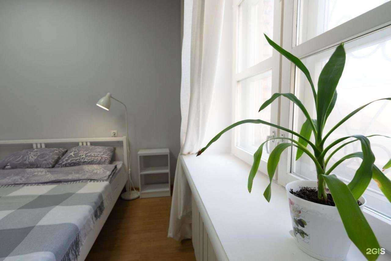 Отзывы на компанию Сканди в г. Вологда c фото