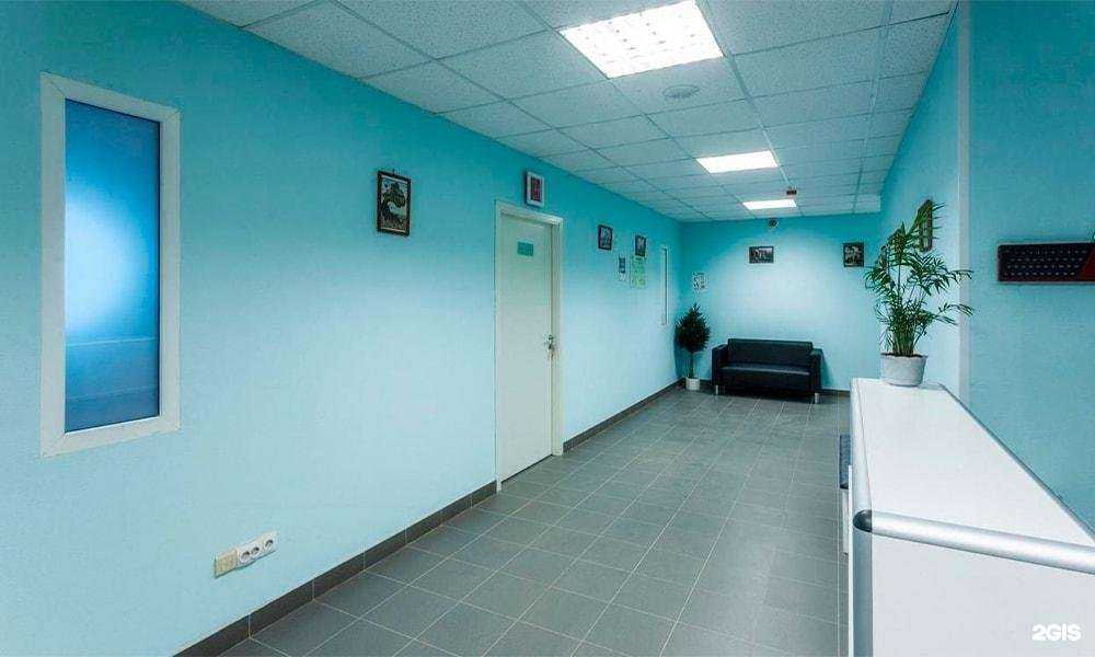 Отзывы на компанию Медицинский центр в г. Красногорск c фото