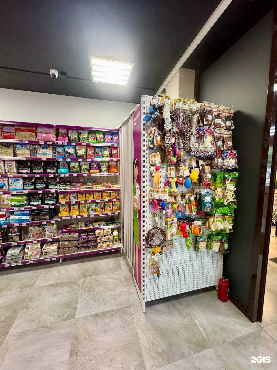 Отзывы на компанию Мокрый нос в г. Балашиха c фото