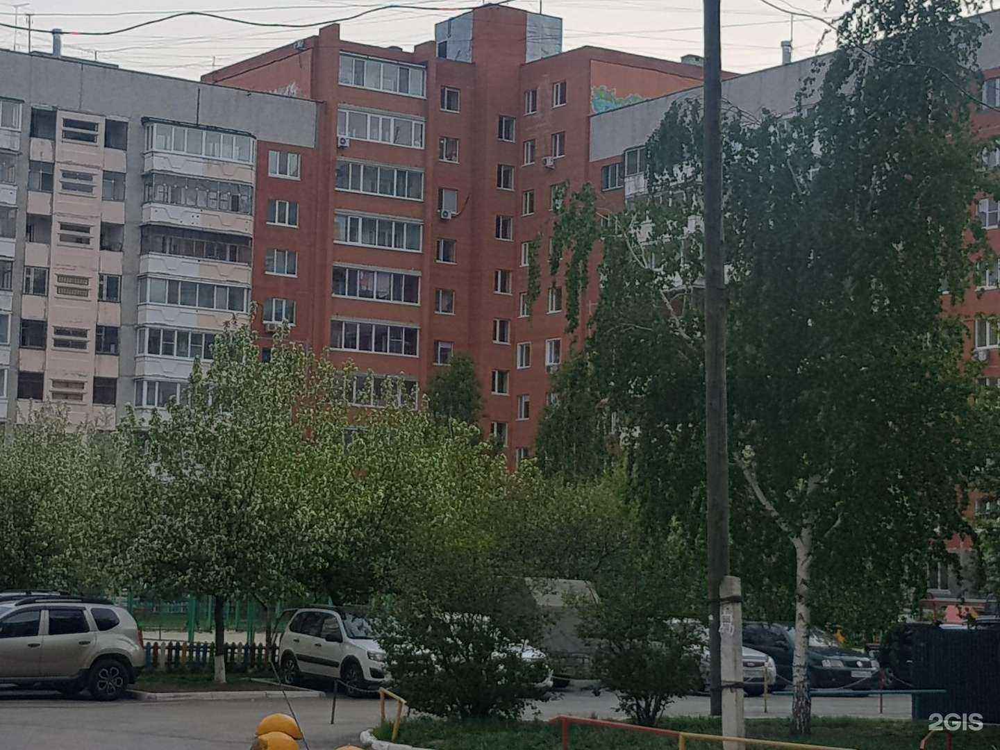 Отзывы на компанию Кот и Пес в Тюмени c фото - фотография 2 из 2