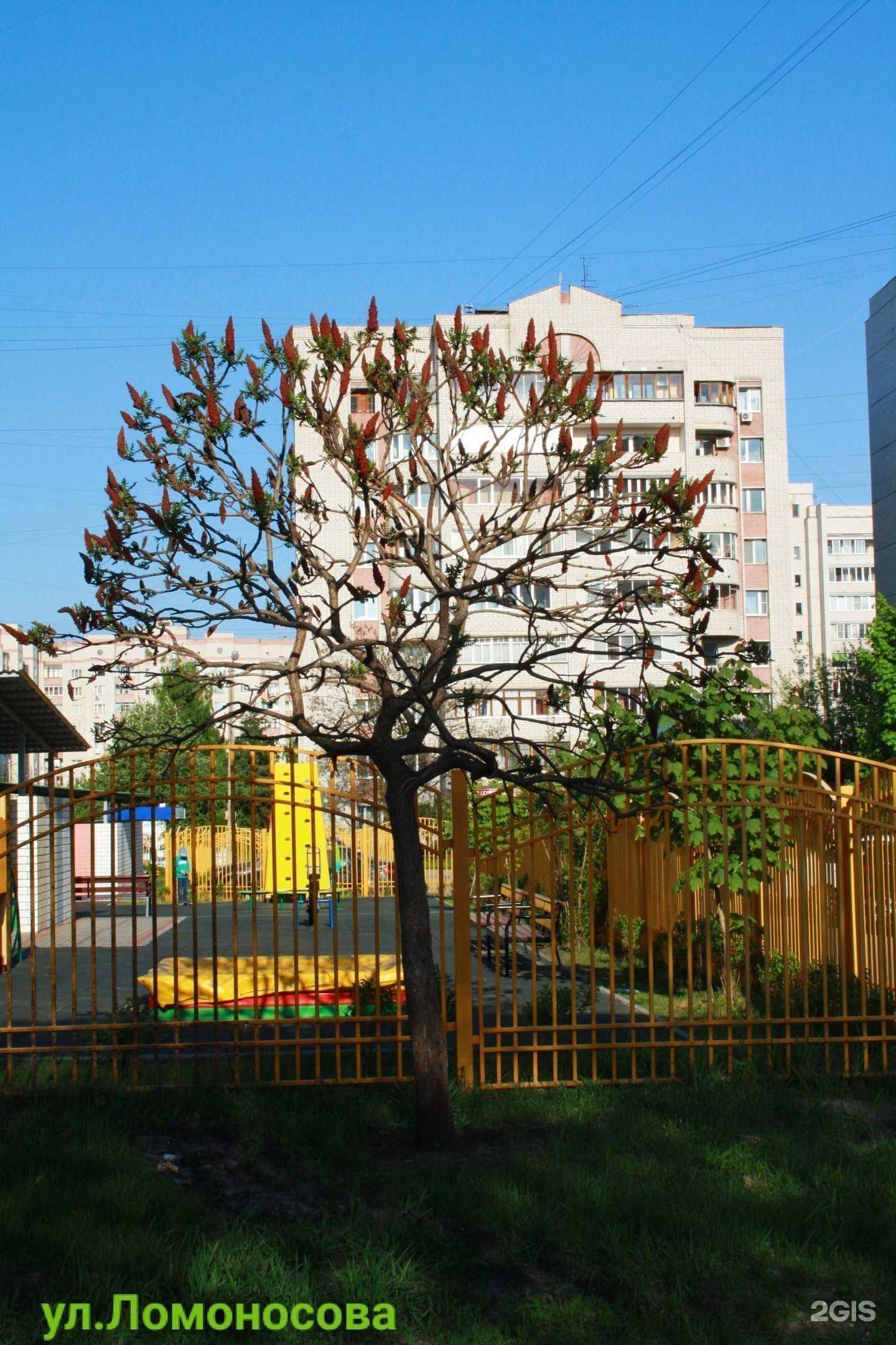 Отзывы на компанию Анжелика в Воронеже c фото - фотография 2 из 2