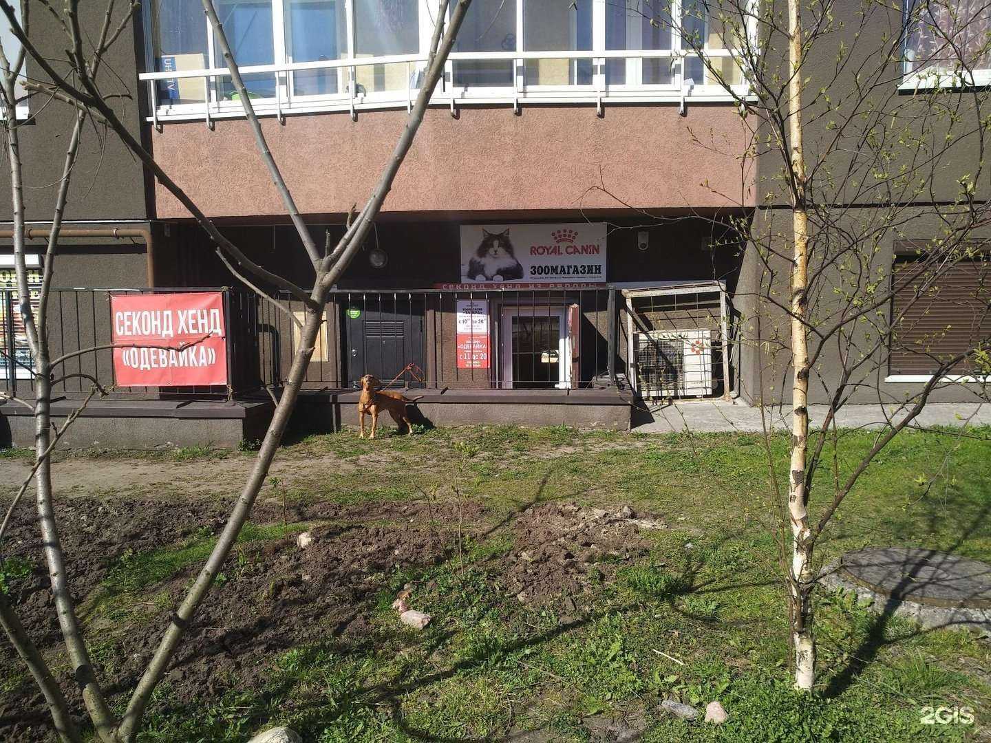 Отзывы на компанию Багира в Калининграде c фото