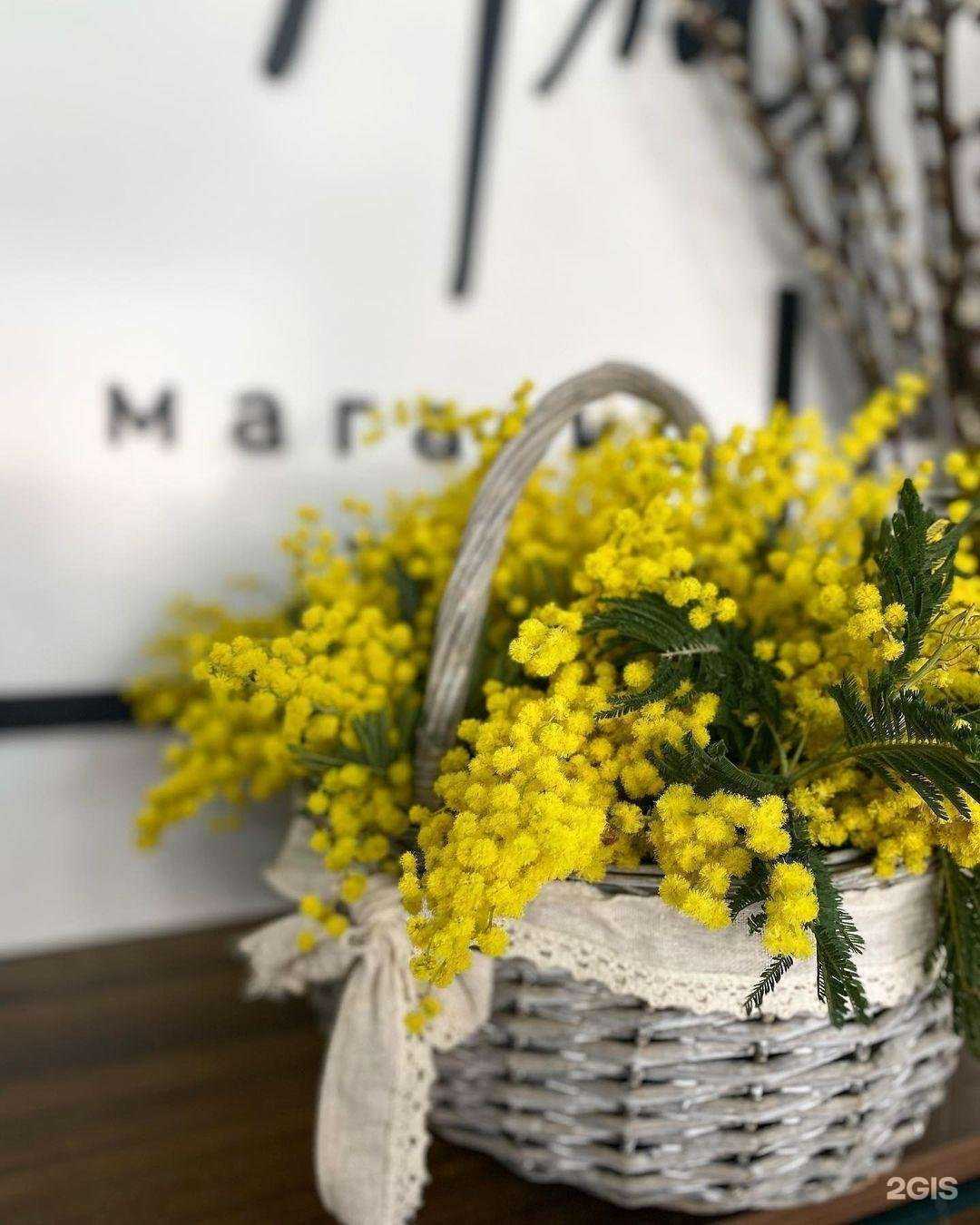 Отзывы на компанию Роза Алая в г. Краснодар c фото