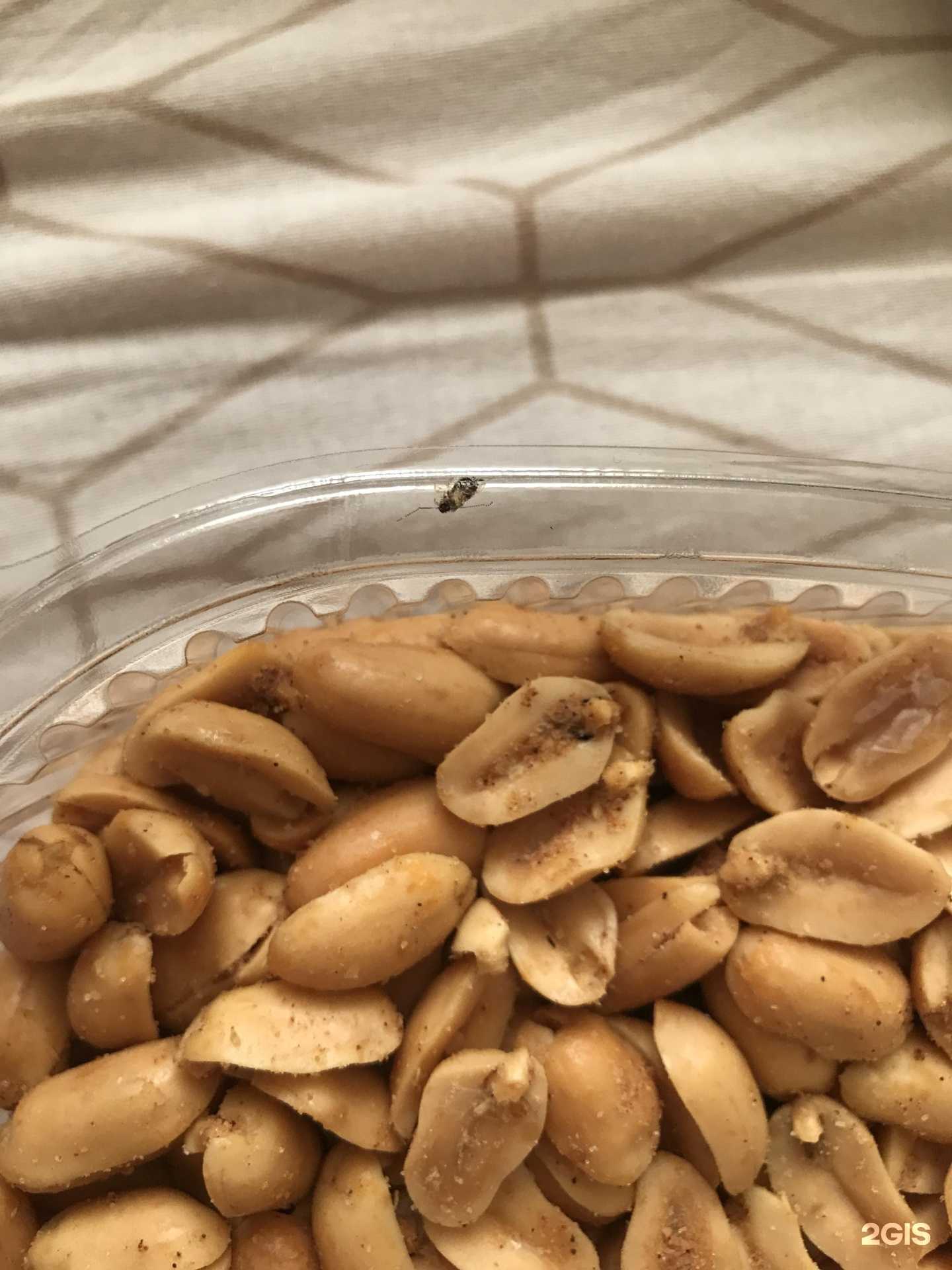 Отзывы на компанию Разливной Рай в г. Воронеж c фото