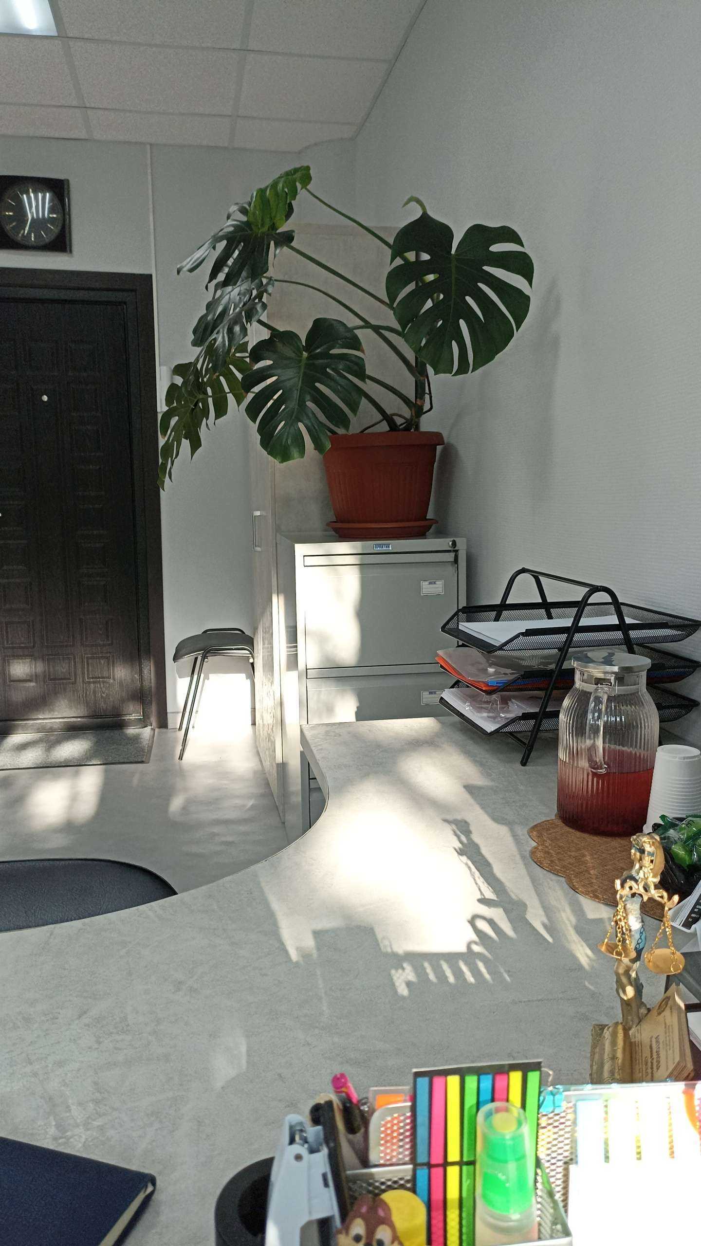 Отзывы на компанию Кабинет адвоката в Хабаровске c фото