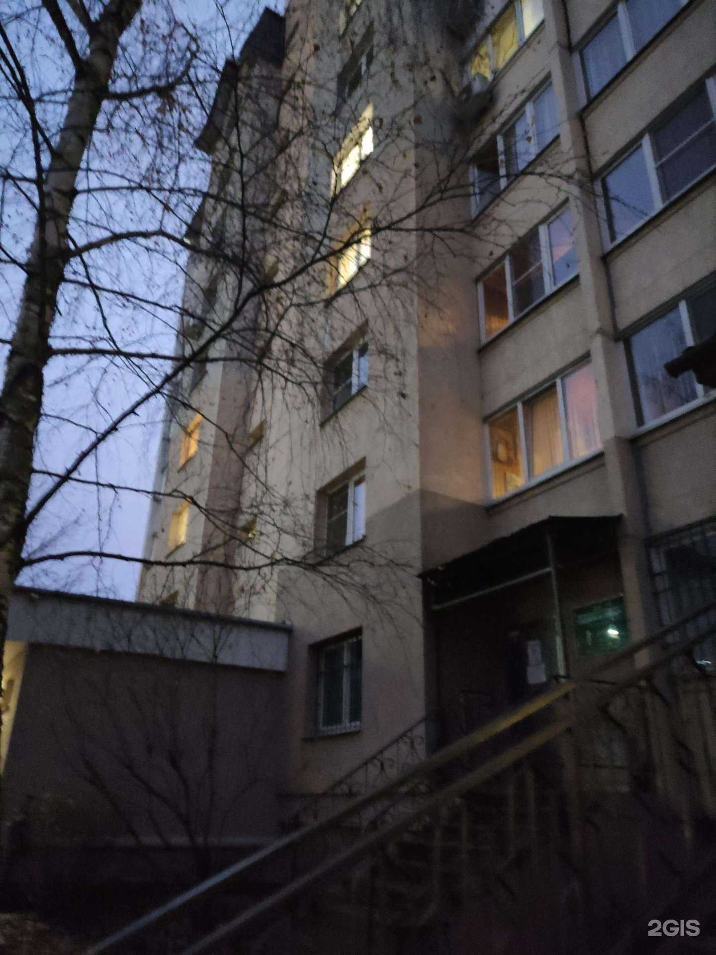 Отзывы на компанию Котофей в Видном c фото - фотография 2 из 2