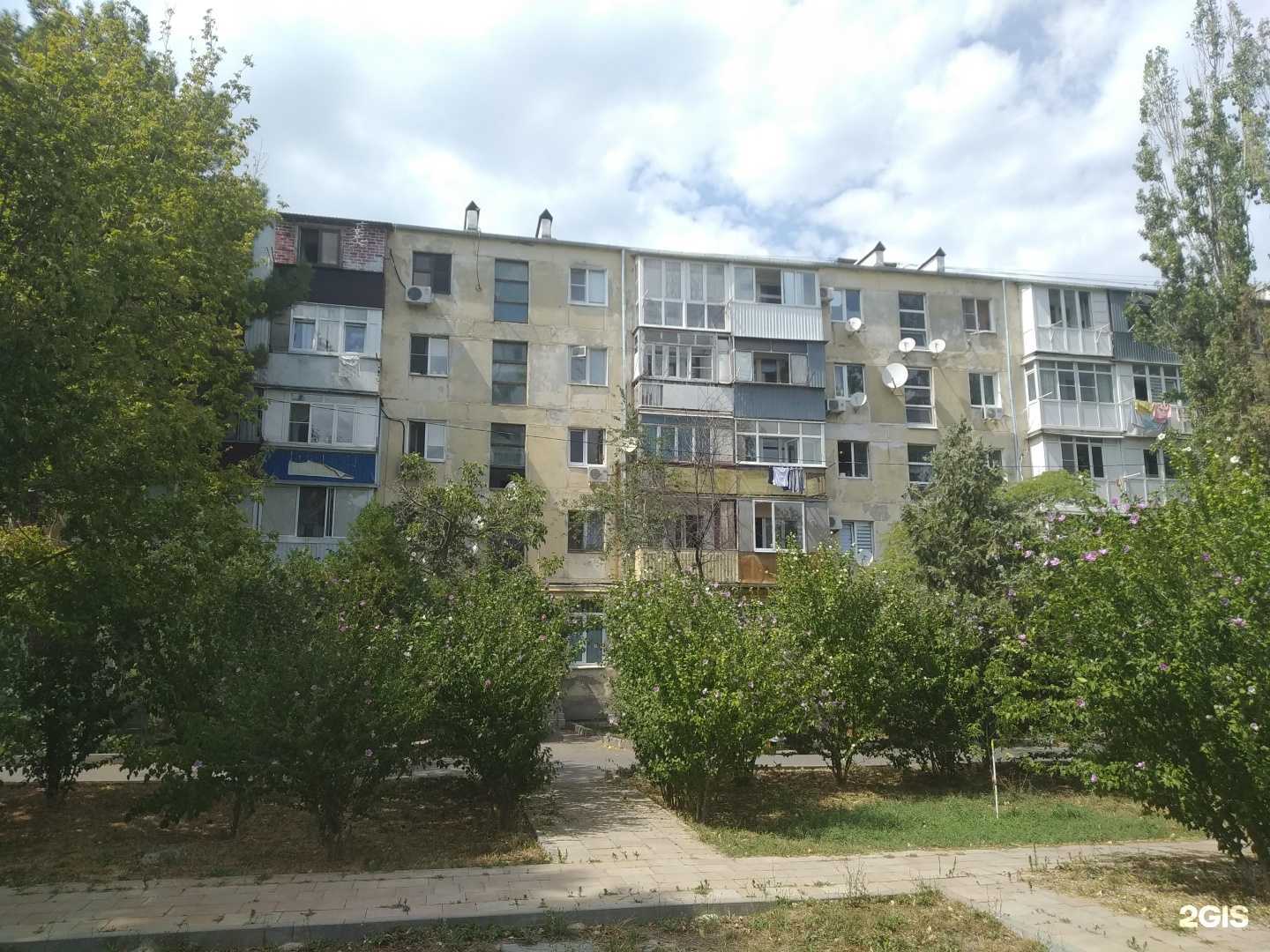 Отзывы на компанию НеоВет в Анапе c фото - фотография 2 из 2