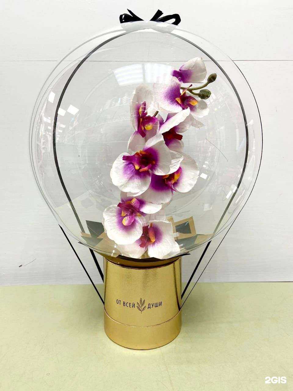 Отзывы на компанию Движение Вверх в г. Хабаровск c фото