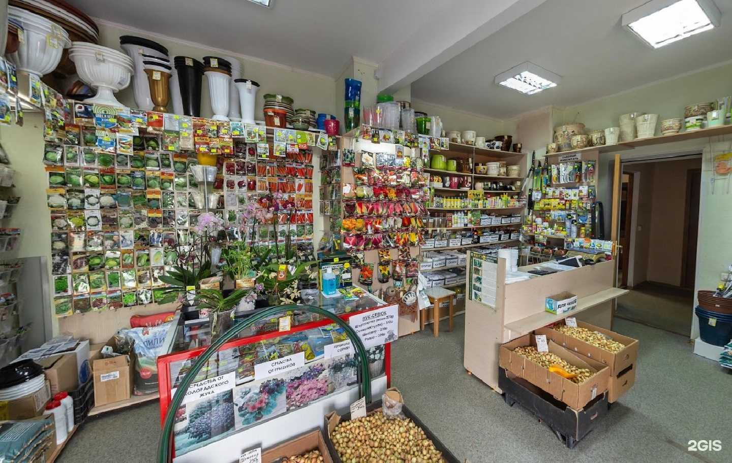 Отзывы на компанию Липецксортсемовощ в г. Липецк c фото