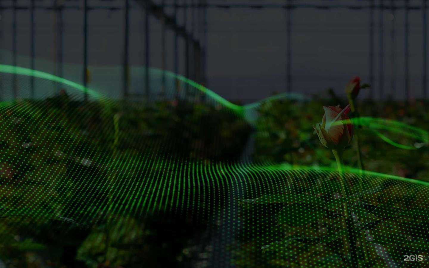 Отзывы на компанию Биозащита в Белгороде c фото